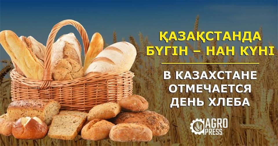 Құрметті ауыл шаруашылығы саласының еңбеккерлері, диқандар, наубайшылар және барша отандастар!